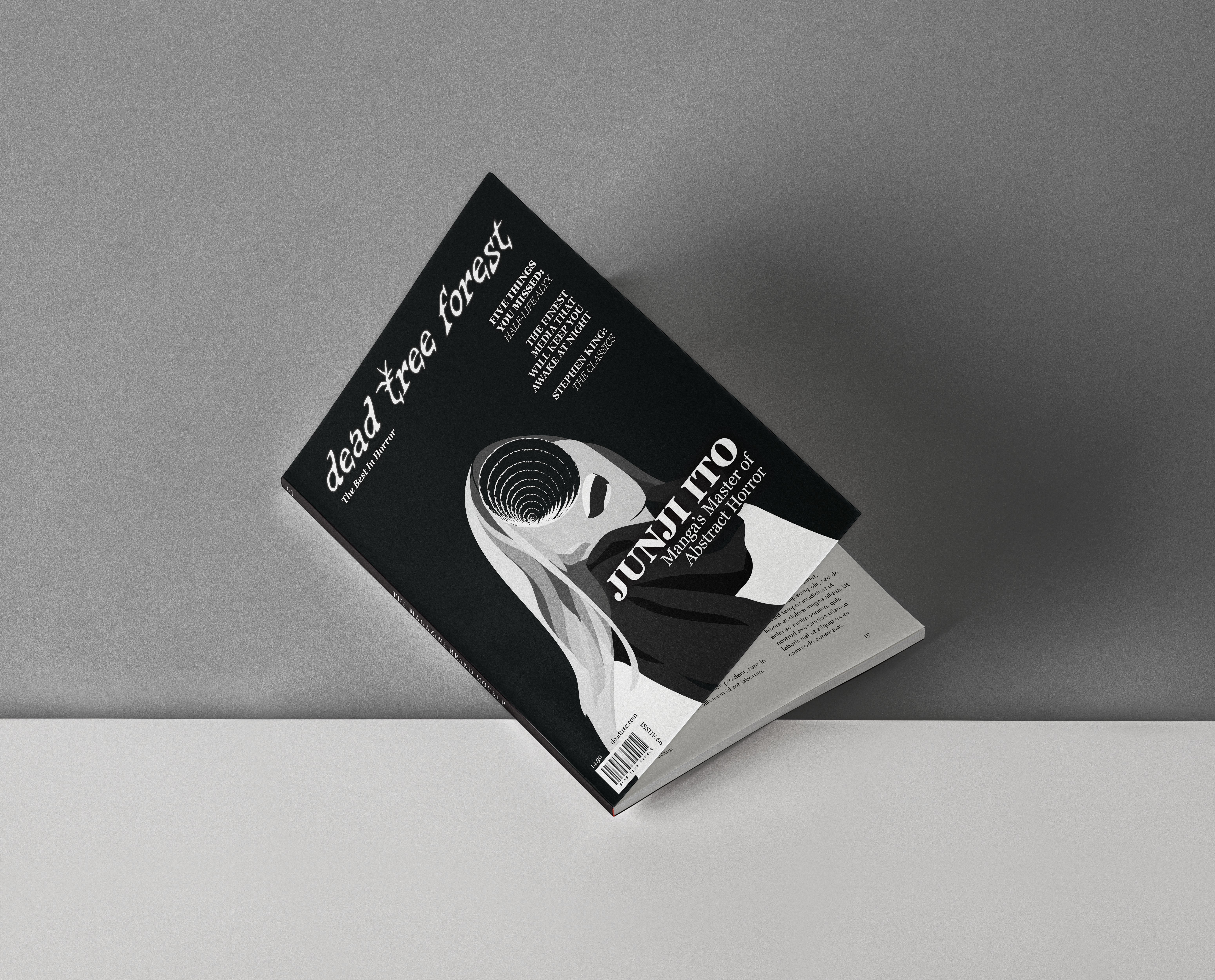 Editorial Mockup